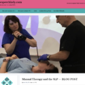 Manual Therapy and the SLP